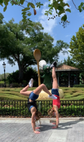 Flipping and Flying Twins