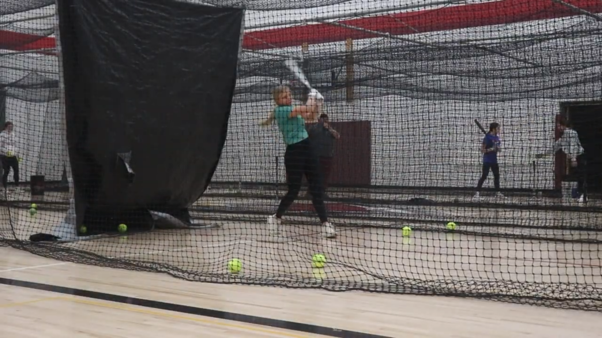 Softball Clips