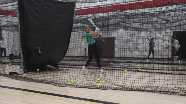 Softball Clips