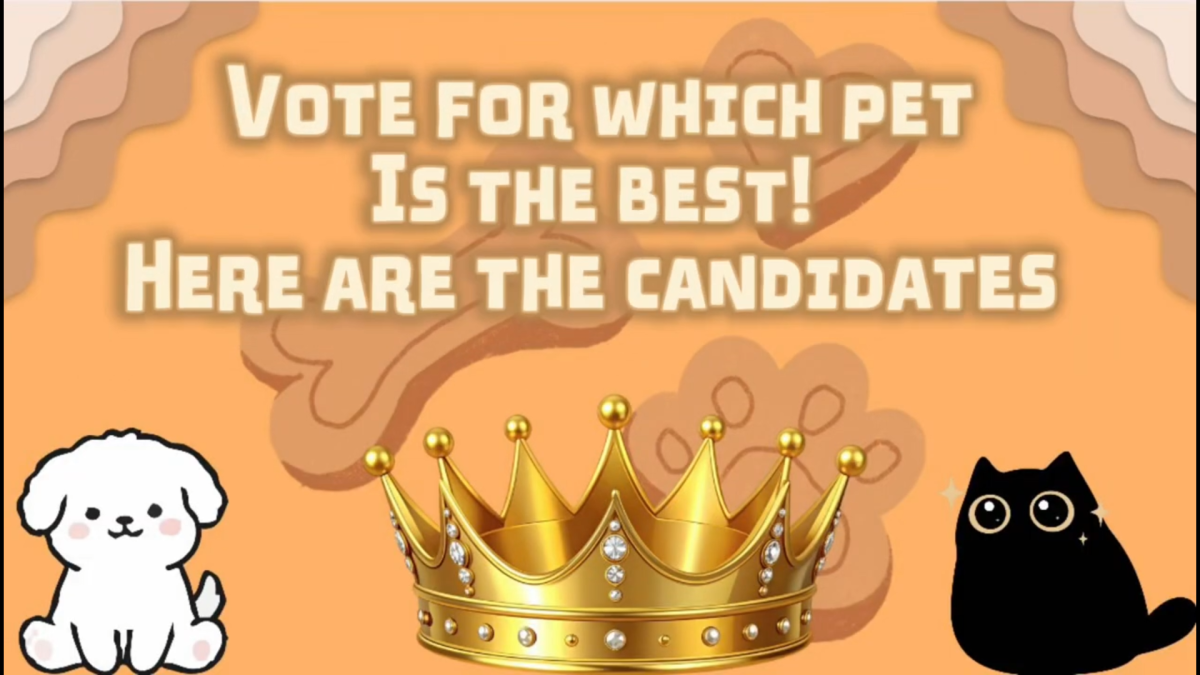 Best Pet Contest Candidates
